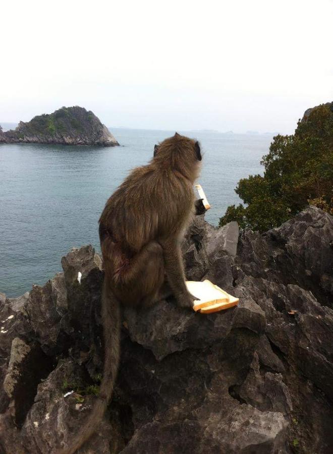 Le Pont Hotel Dong Khe Sau Buitenkant foto